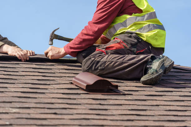 Best New Roof Installation  in St Elmo, IL