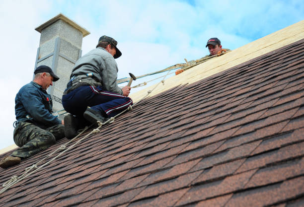 Roof Gutter Cleaning in St Elmo, IL